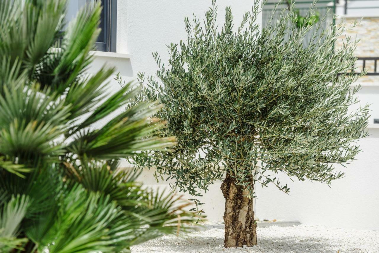 Apartments Villa Dalmatia Traù Esterno foto