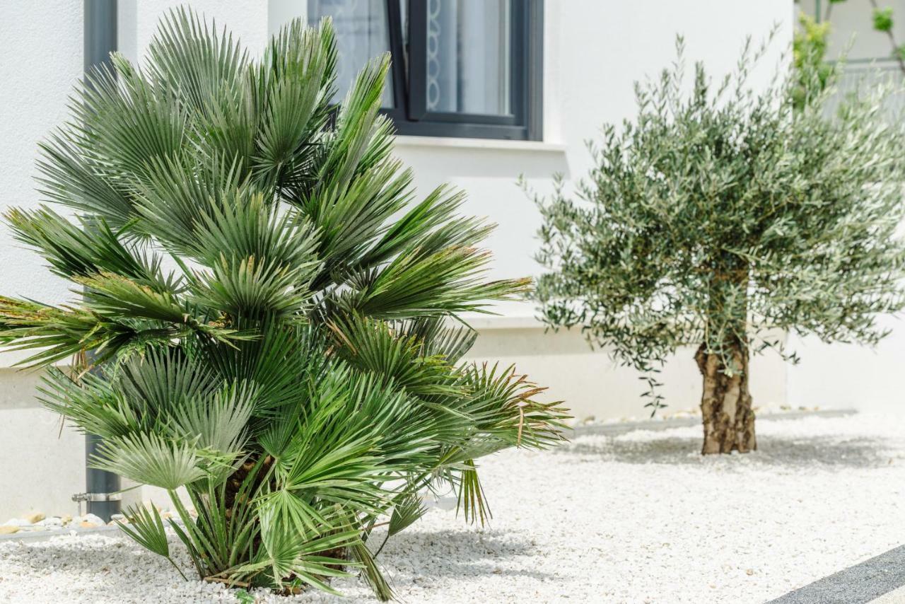 Apartments Villa Dalmatia Traù Esterno foto